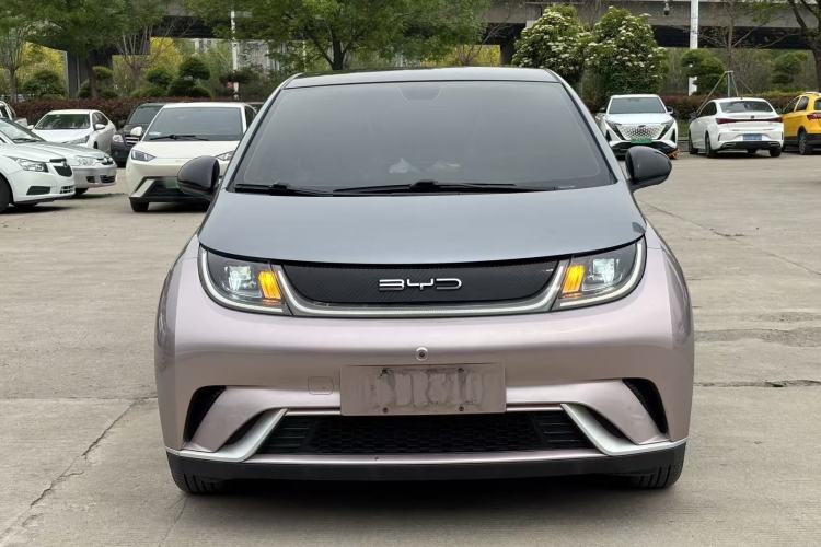 Used BYD Dolphin 2021 405 km Fashion Edition Front