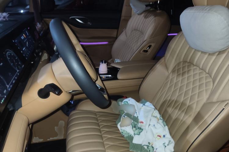 Used VOYAH Dream 2022 Low-Carbon Edition Dream+ Smart Enjoyment Package Left Front Seat