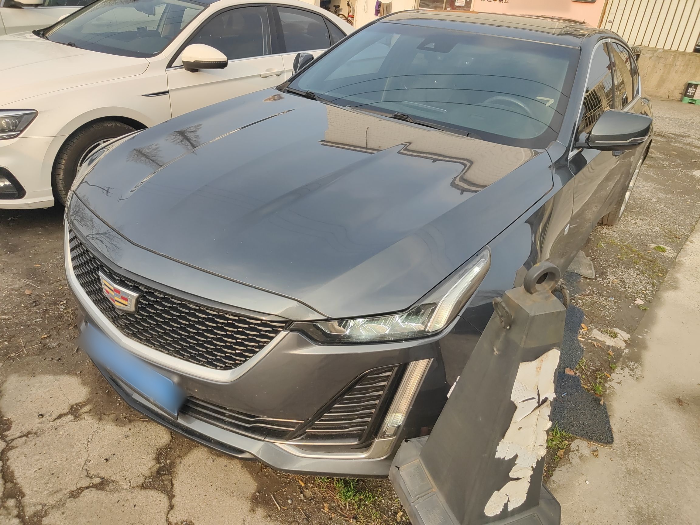 Parte inferior delantera