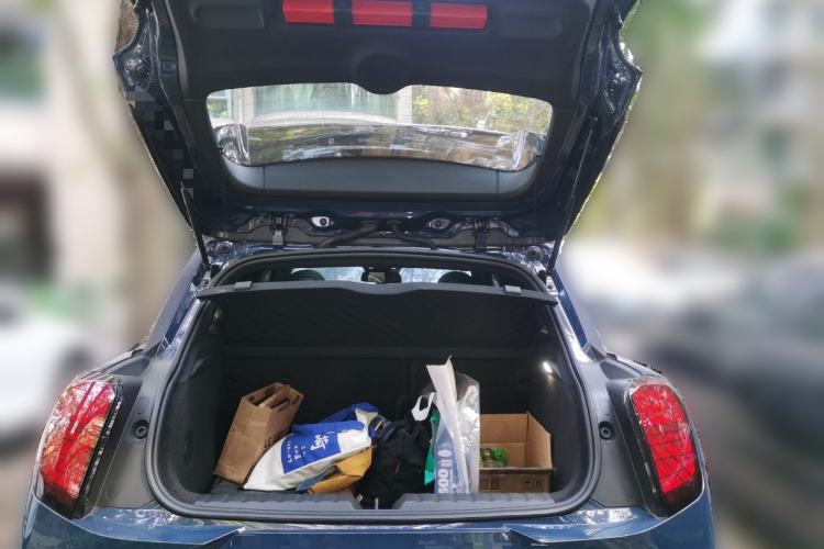 Used MINI Electric ACEMAN 2024 SE Racing Driver
