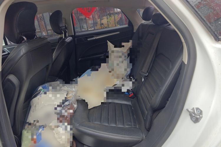 Used Ford Mondeo 2013 1.5L GTDi180 Fashion Edition
