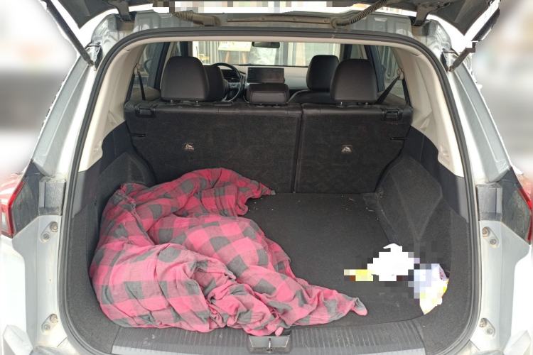 Used Nissan X-Trail 2021 VC-Turbo 300 CVT 4WD Luxury Edition