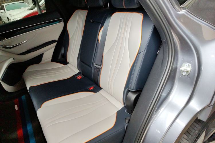 Used BYD Song Pro New Energy 2022 DM-i 110km Flagship Model Left Rear Seat