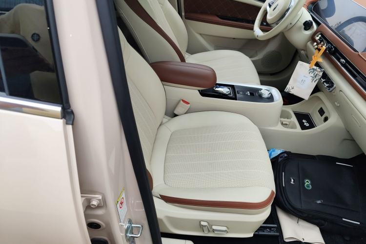 Used ORA Good Cat 2022 Morandi Edition 400km Standard Range Premium Version Lithium Iron Phosphate Right Front Seat