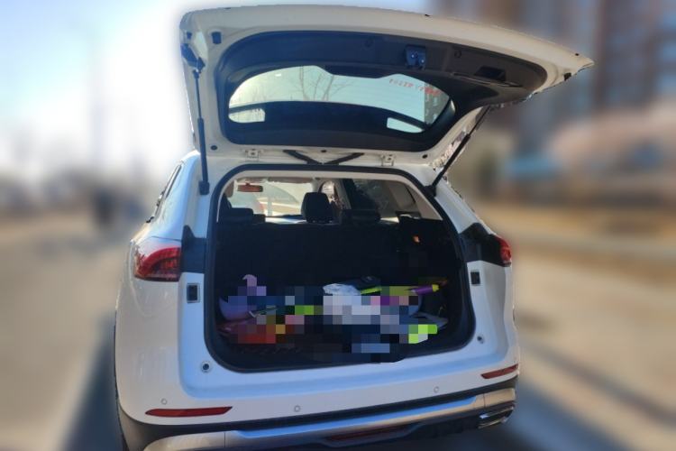 Used Haval H6 2021 National Trend Edition 1.5T Automatic Urban Version
