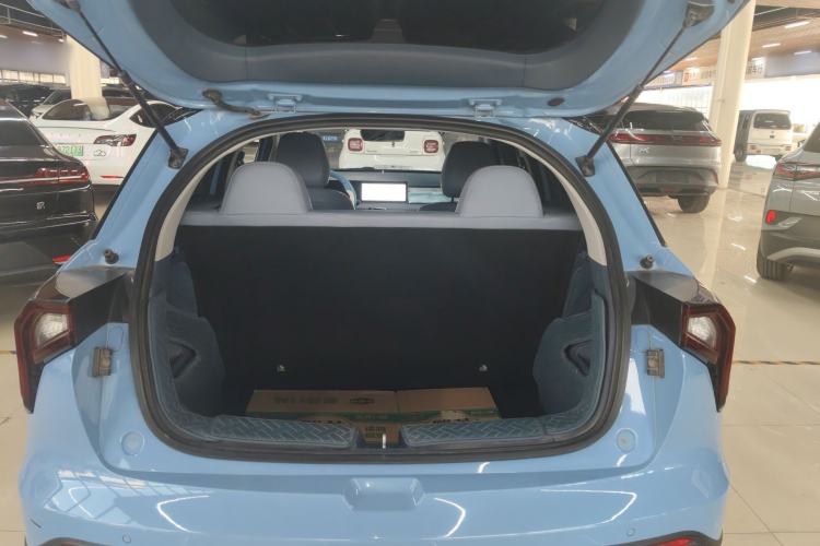 Used Geometry E Firefly 2022 401 km Linglong Tiger 4 Seats Trunk