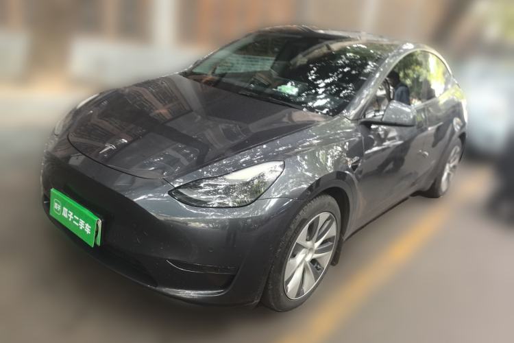 Used Tesla Model Y 2021 Standard Range Rear-Wheel Drive Version
