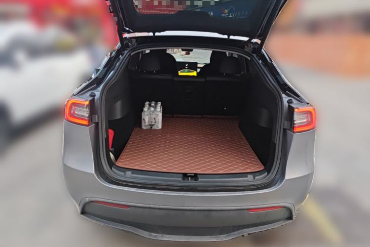 Used Tesla Model Y 2021 Standard Range Rear-Wheel Drive Version
