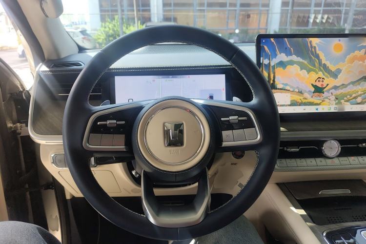 Used Tank 500 New Energy 2024 Hi4-T
