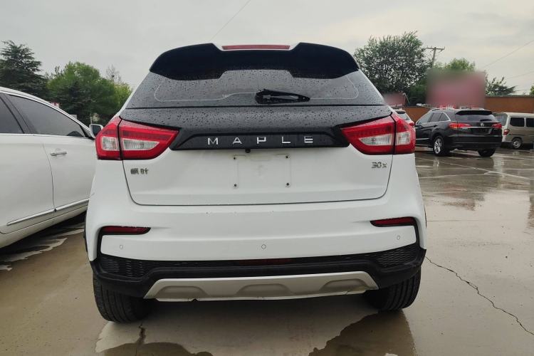 Used Livan Maple 30X 2020 Style Edition
