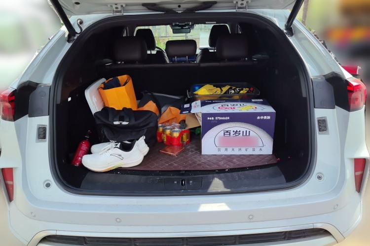 Used Wey Mocha 2021 2.0T Two-Wheel-Drive Premium Edition
