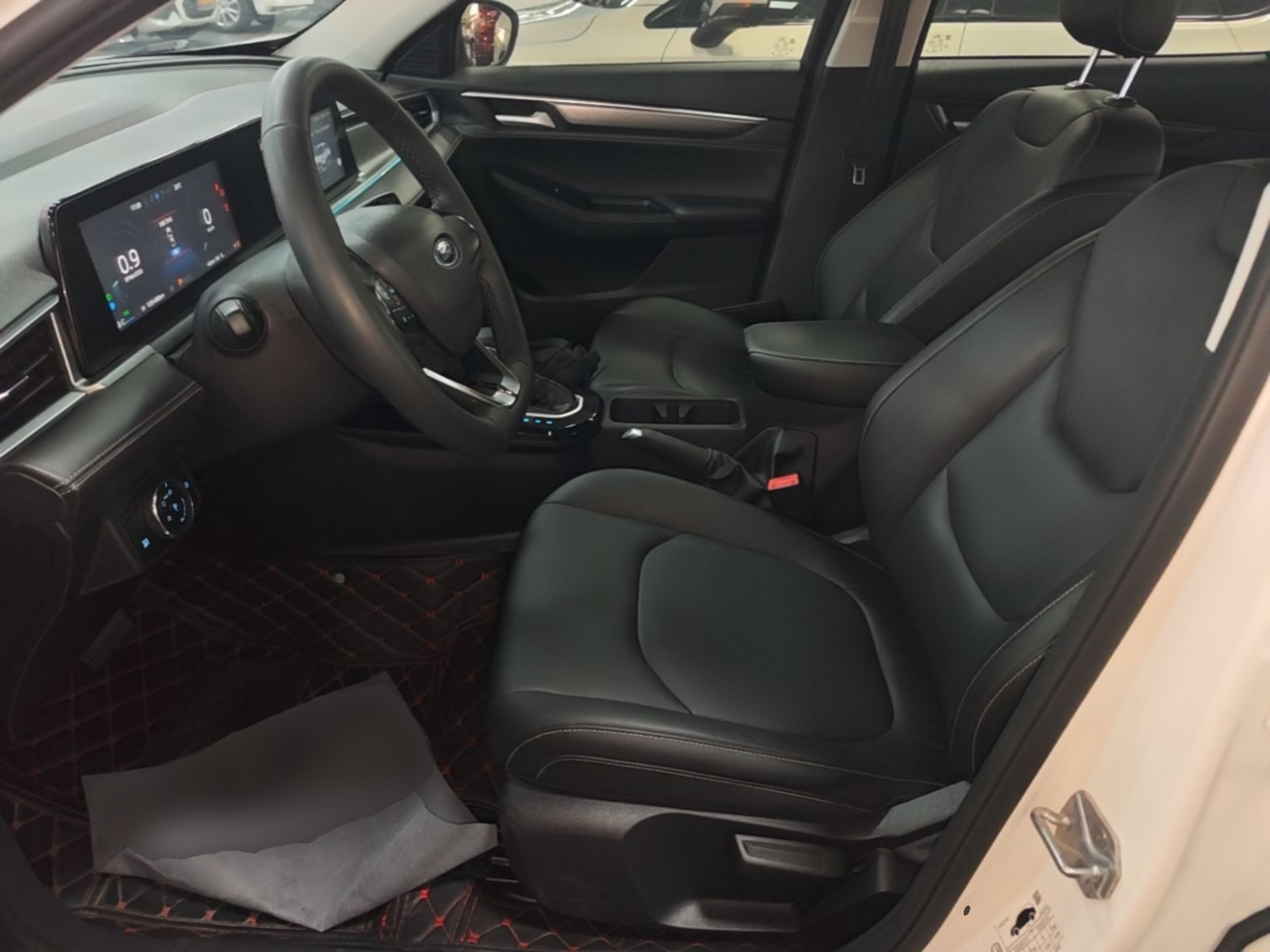 Interior delantero