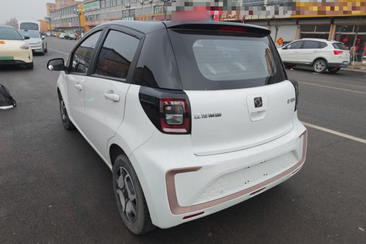 Used SOL E10X 2022 Flower Fairy Style Baby's Breath