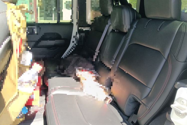 Used Jeep Wrangler 2024 2.0T Robin Hood Four-Door Edition