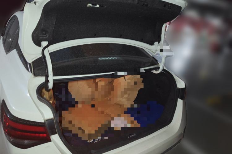 Used Nissan Sylphy 2021 1.6L XL CVT Enjoyment Edition