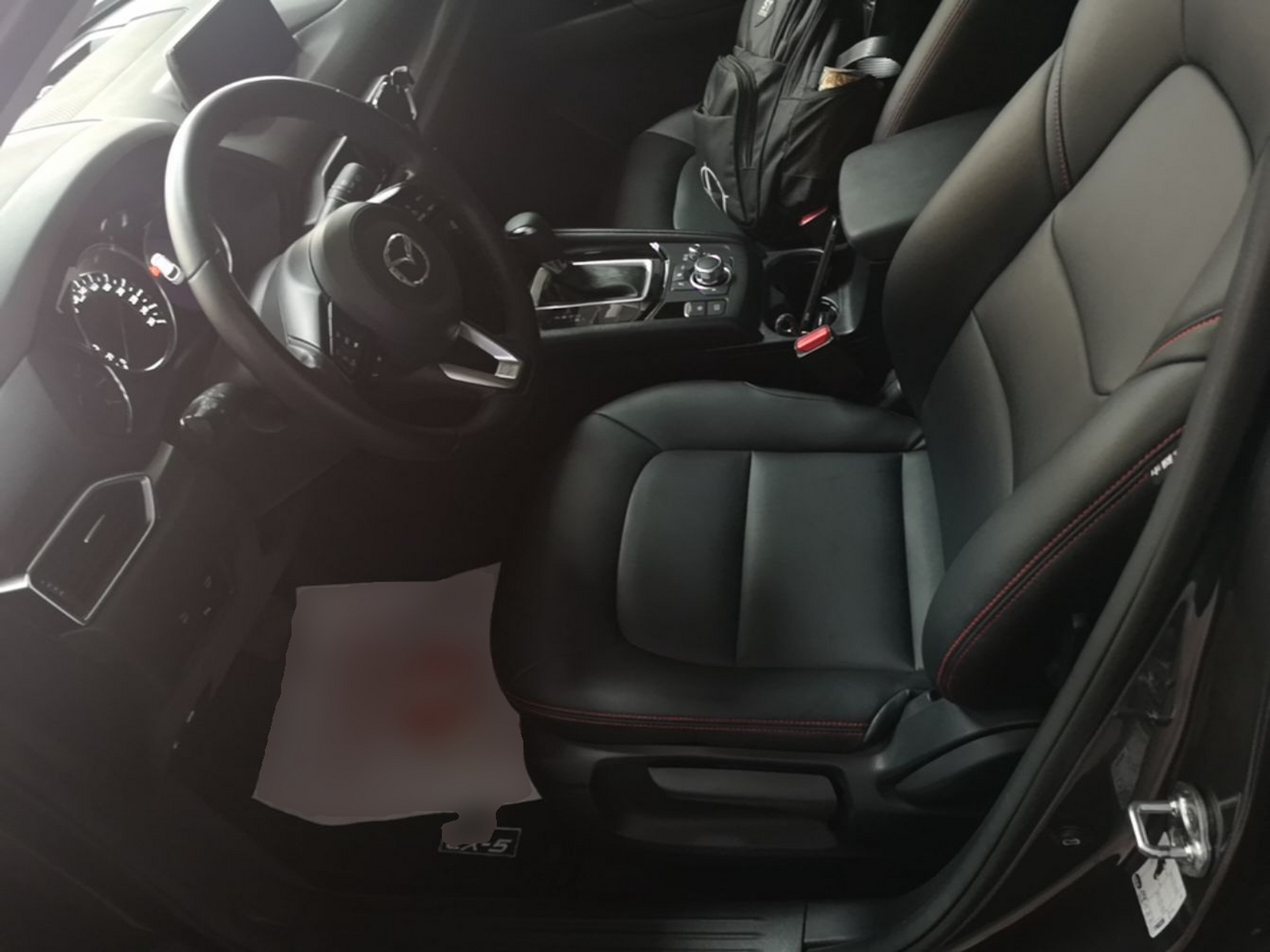 Interior delantero