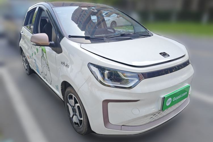 Used SOL E10X 2022 Flower Fairy Style Baby's Breath