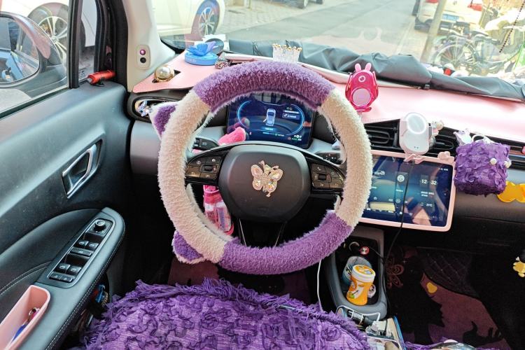 Used Leapmotor T03 2020 400 Luxury Edition