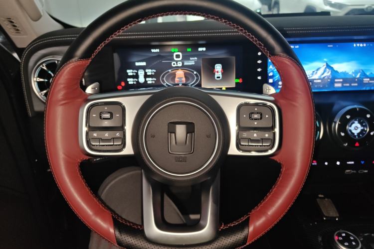 Used Tank 300 2024 2.0T Conqueror