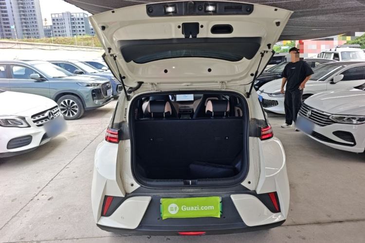 Used BYD Seagull 2025 Smart Drive Version 305 km Freedom Edition