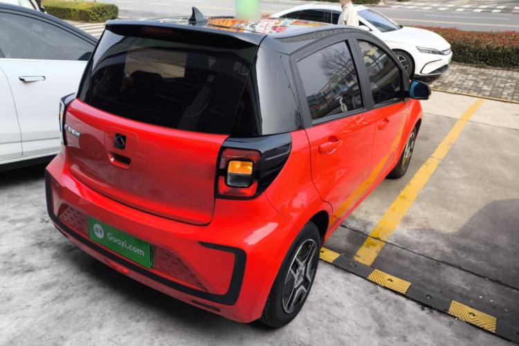 Used SOL E10X 2022 Flower Fairy Design Four-Leaf Clover