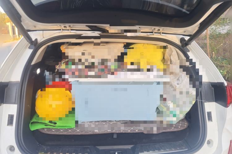 Used Wey P8 2018 2.0T Flagship Model