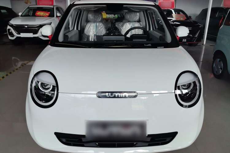 Used Changan Lumin 2023 205km Xiangqin Version