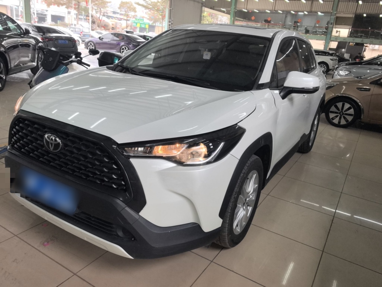 تحت مقدمة السيارة