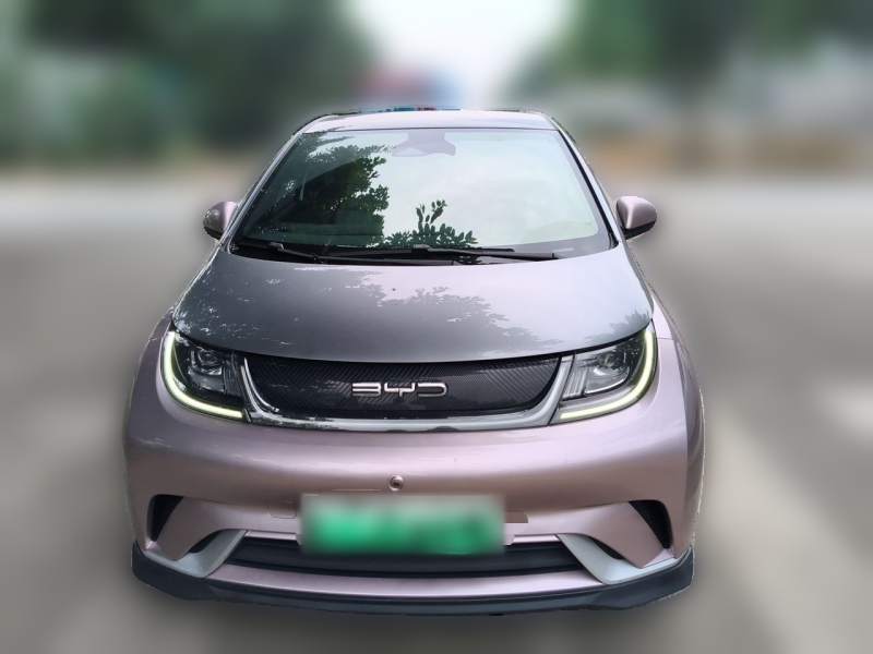 Used BYD Dolphin 2021 401km Knight Edition — 2