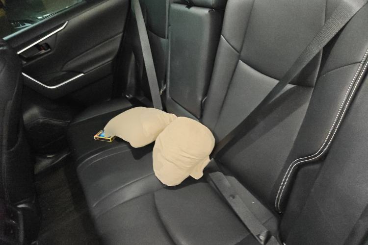 Used Toyota Wildlander 2024 2.0L CVT Two-Wheel Drive Leading Edition Left Rear Seat