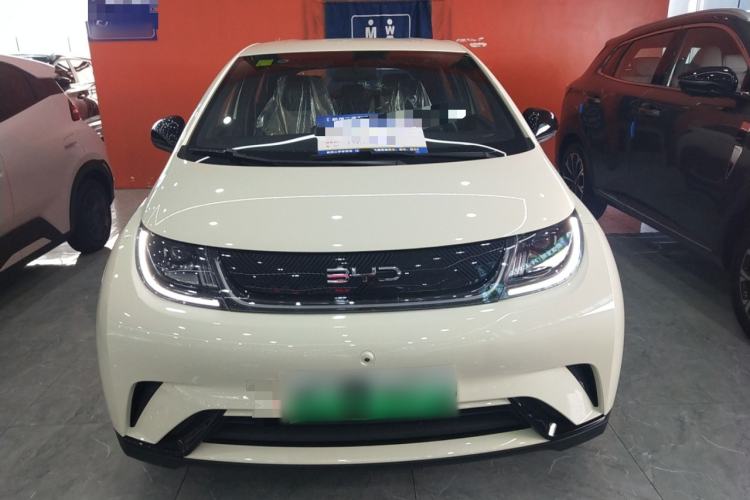 Used BYD Dolphin 2025 420km Free Edition