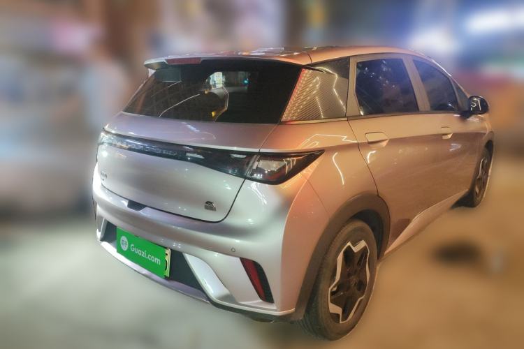 Used BYD Dolphin 2021 405 km Free Version Rear Right 45 Deg