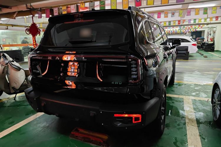 Used Haval DARGO 2024 2.0T DCT Chinese Rural Dog Edition
