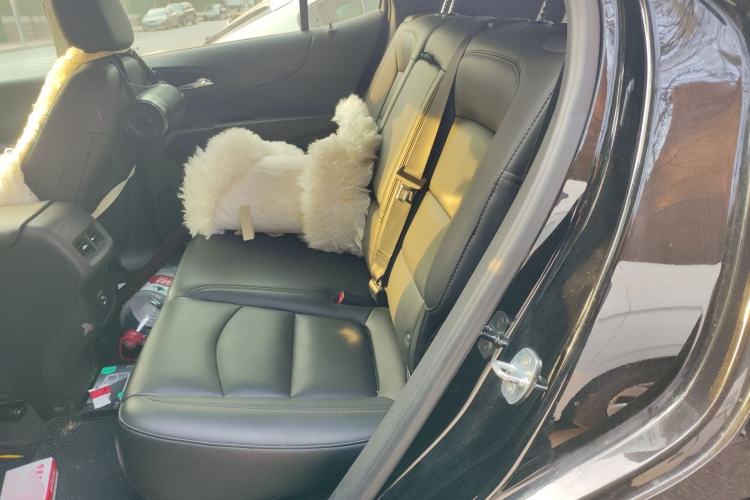 Used Chevrolet Equinox 2021 535T Chijie Edition Left Rear Seat