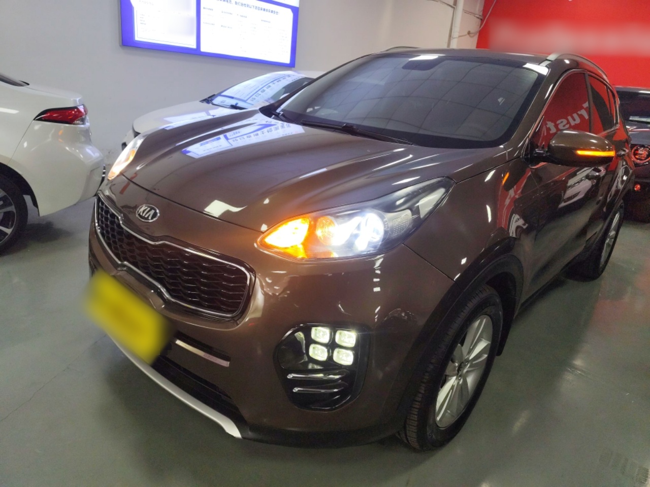 تحت مقدمة السيارة