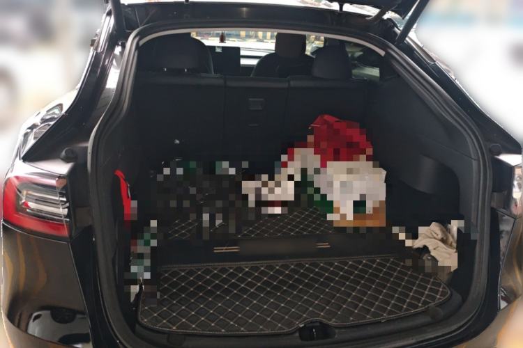 Used Tesla Model Y 2021 Revised Version 2 Long-Range All-Wheel-Drive Edition
