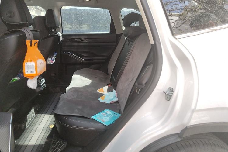 Used Haval H6 2024 1.5T Two-Wheel-Drive Classic Edition Left Rear Seat