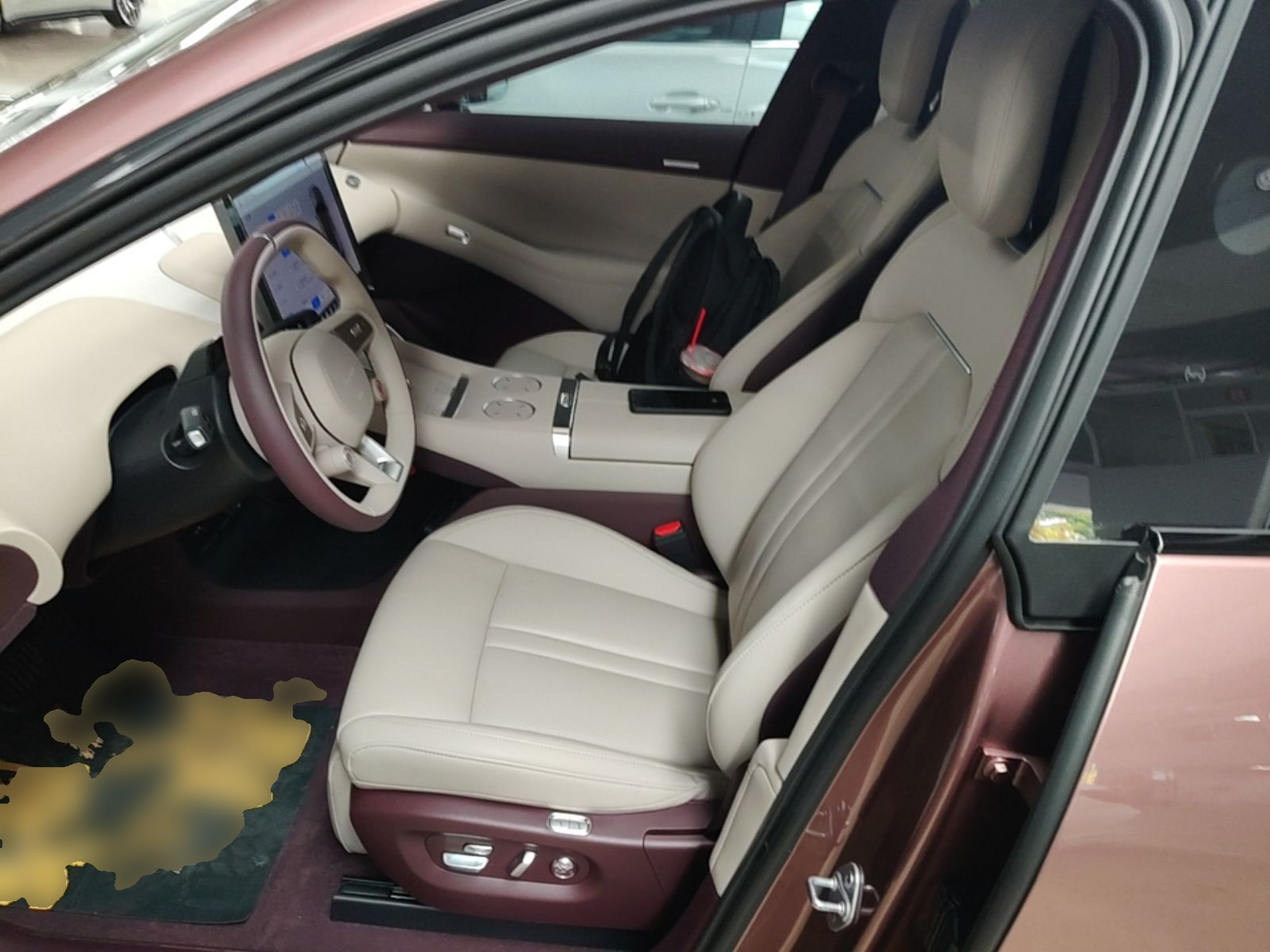 Interior delantero