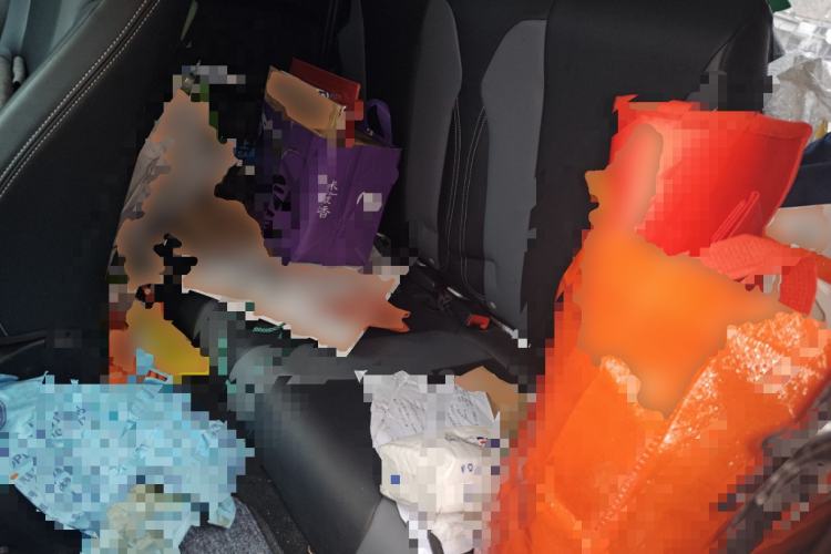 Used Roewe Clever 2022 311km QiQi BoBo Edition Left Rear Seat