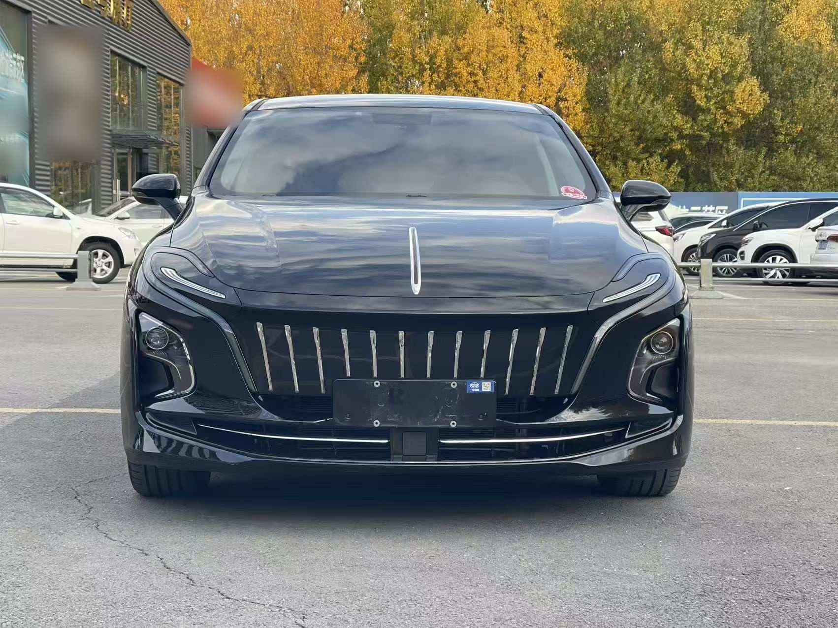 Hongqi E-QM5 2023 620km PLUS — снимка 13