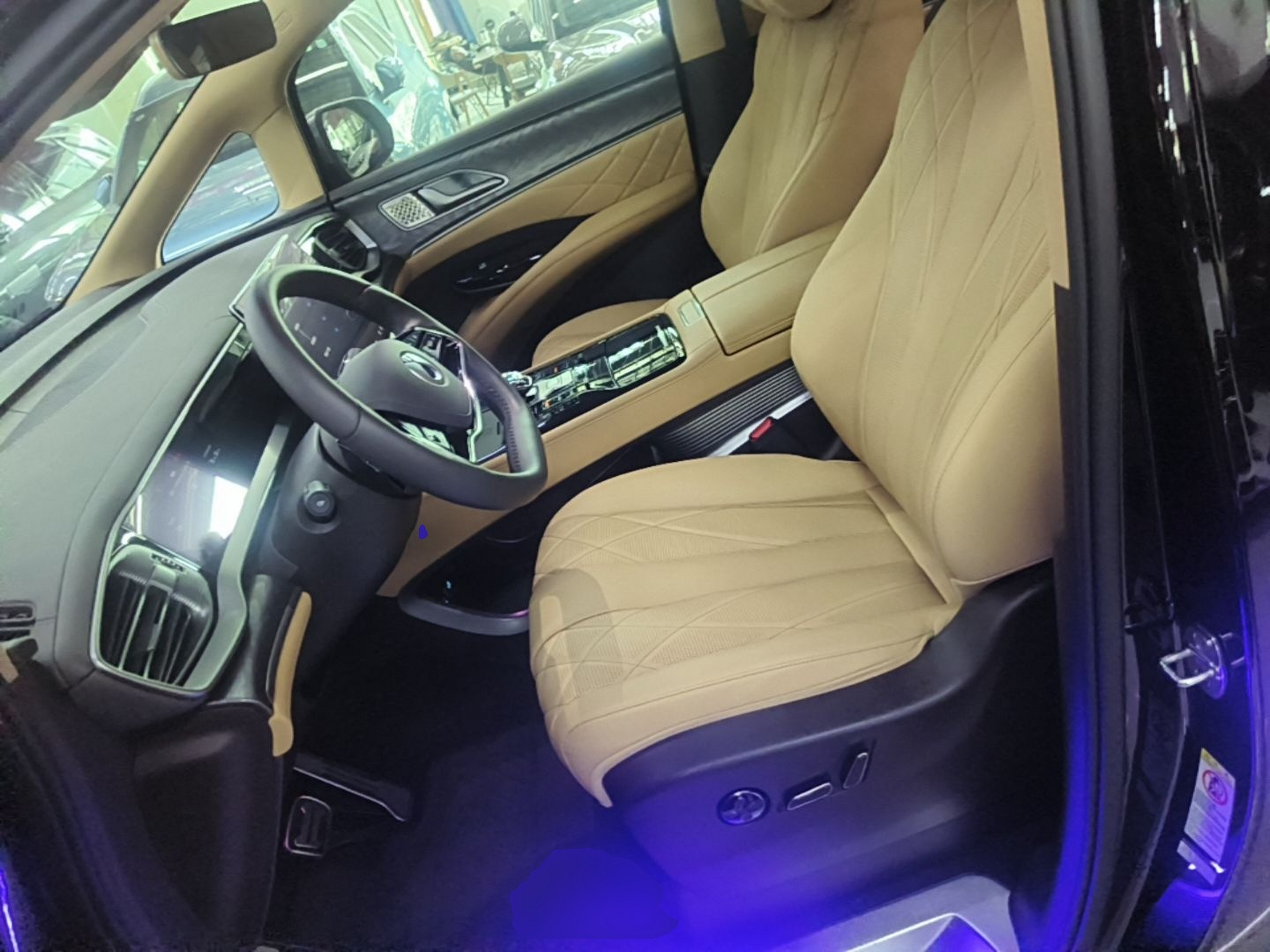 Interior delantero
