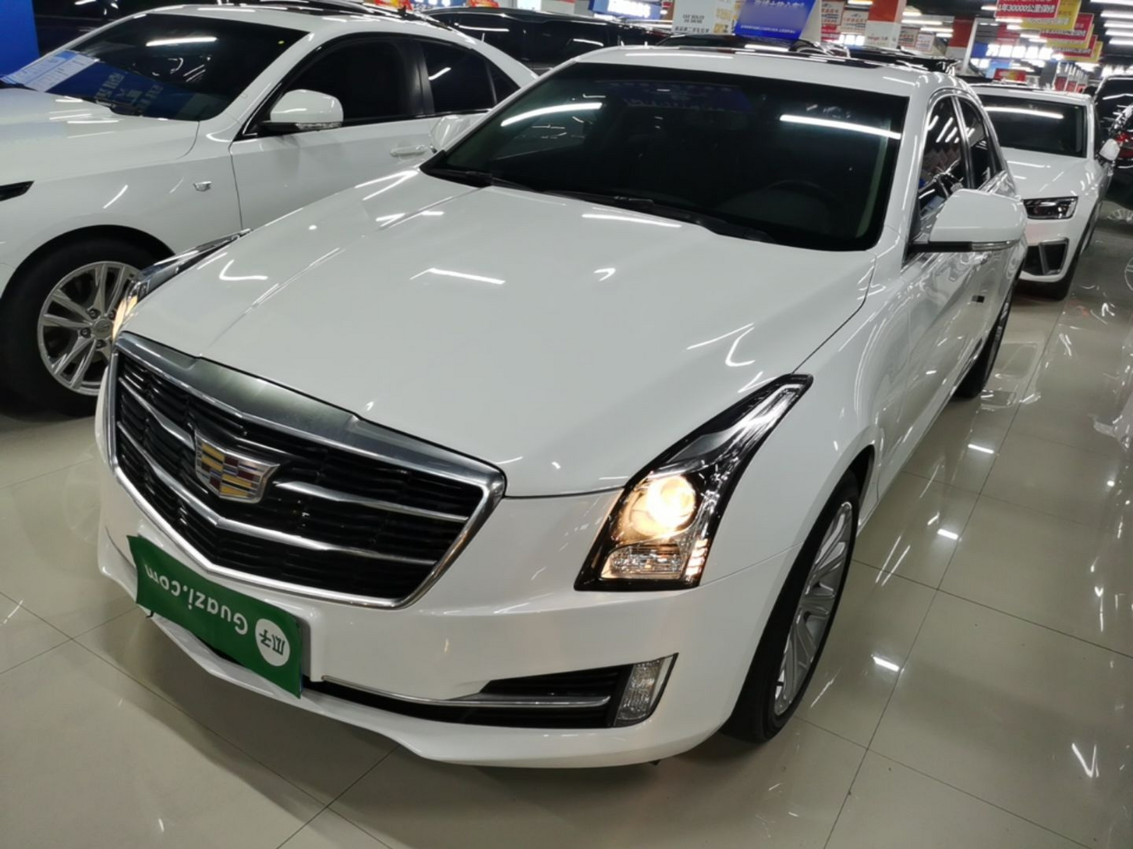 Under Front Bumper