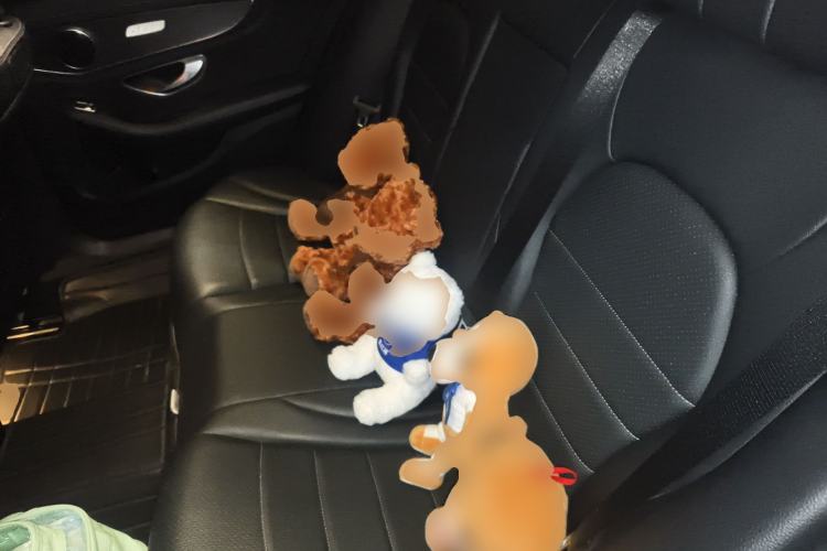 Used Mercedes-Benz C-Class 2016 C 200 L Sport Edition
