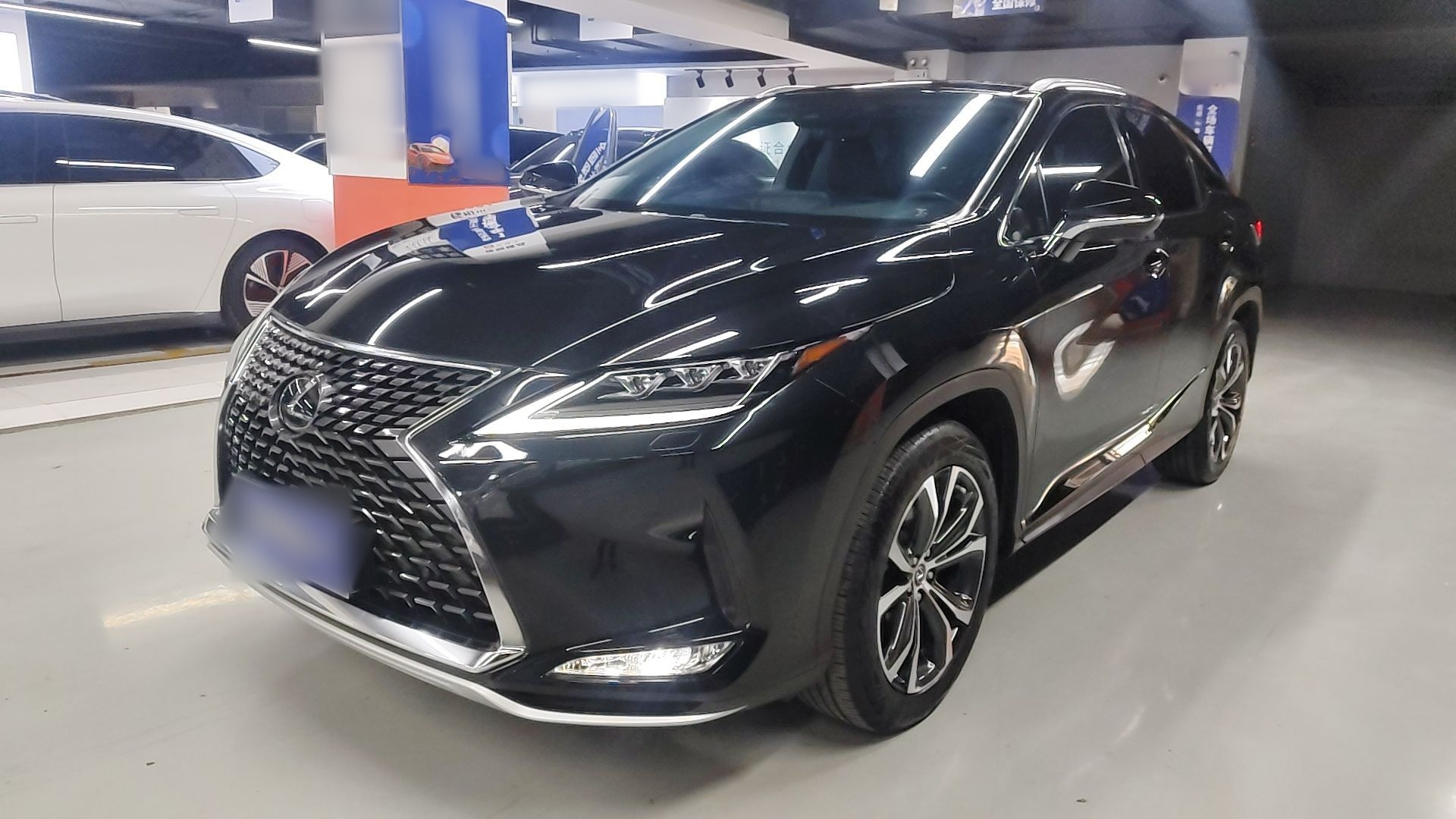 Parte inferior delantera