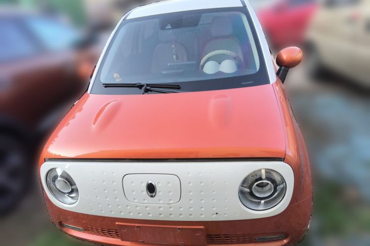 Used ORA Black Cat 2019 351 km Goddess Edition