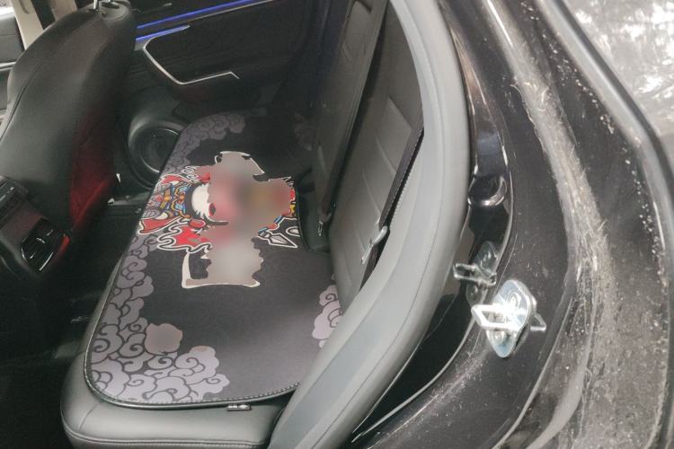 Used Wey VV5 2017 2.0T Ultra-Luxury Version Left Rear Seat