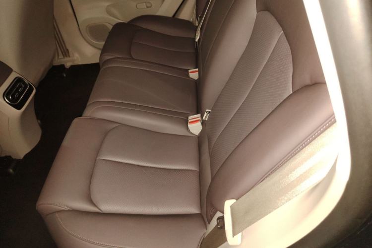 Used Leapmotor C11 2023 Pure Electric 500 Comfort Edition
