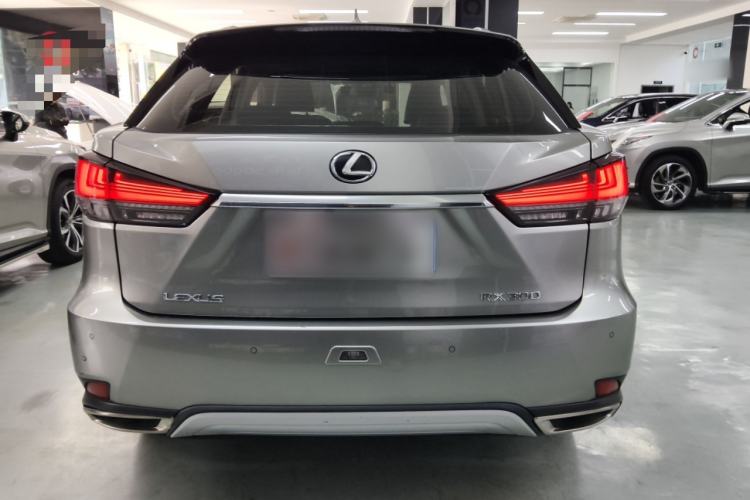Used Lexus RX 2020 300 Two-Wheel Drive Elite Edition China VI Standard