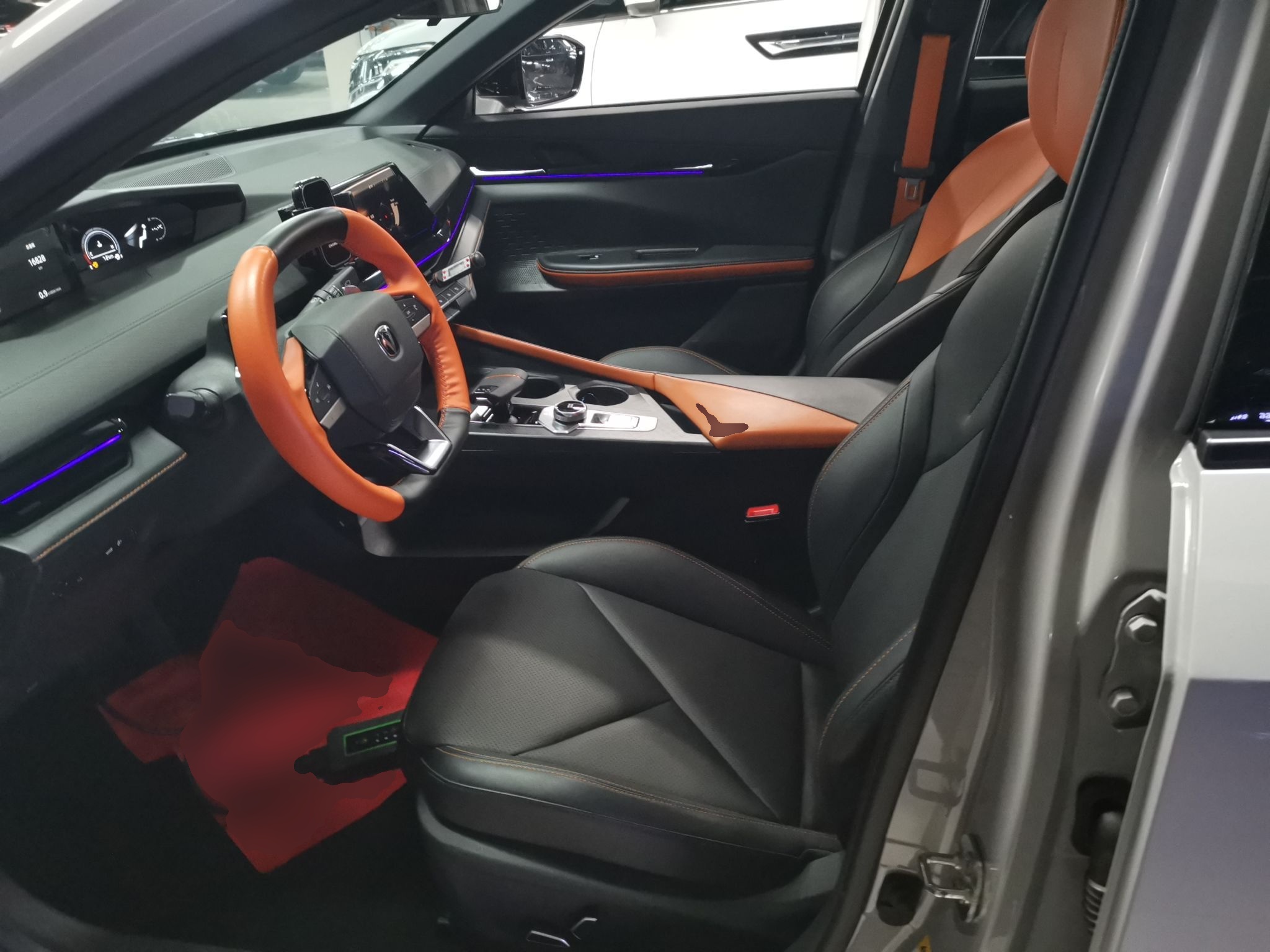 Interior delantero