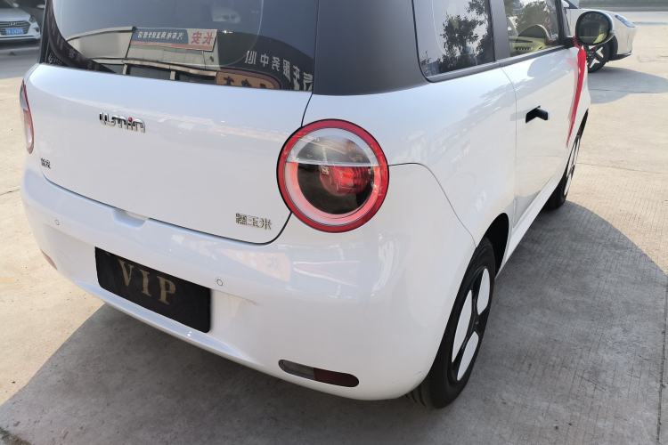 Used Qiyuan Lumin 2023 301km Honey Dew Edition
